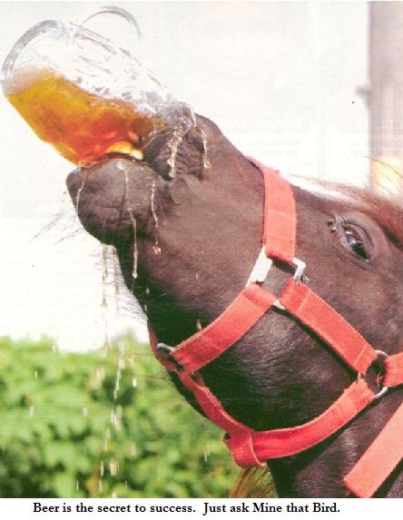 horse racing cartoon. drinking horse